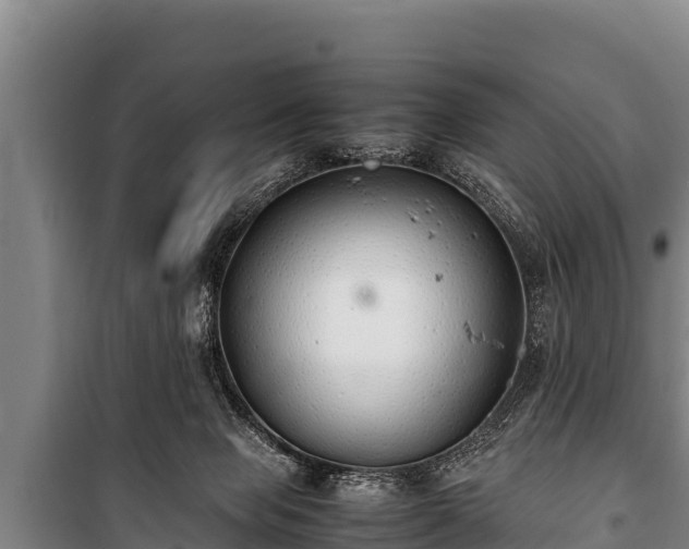 X0000100850077200806271146