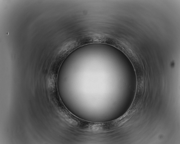 X0000100850078200806271146