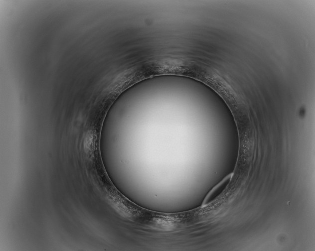 X0000100850079200806271146