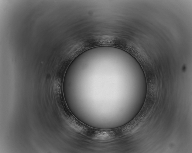 X0000100850083200806271146