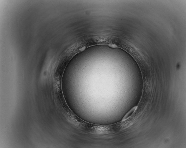 X0000100850085200806271146