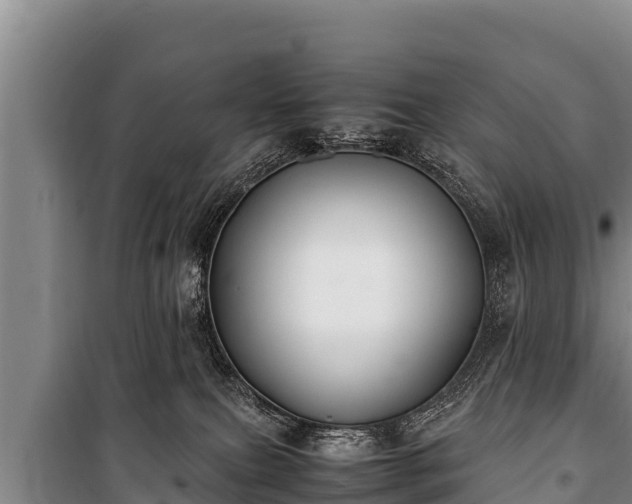 X0000100850087200806271146