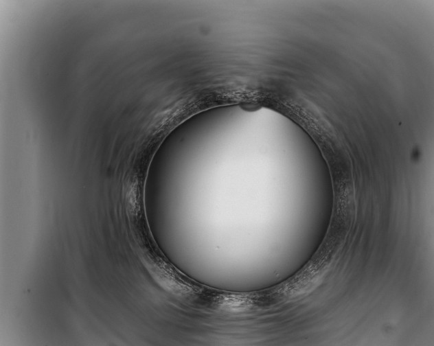 X0000100850088200806271146