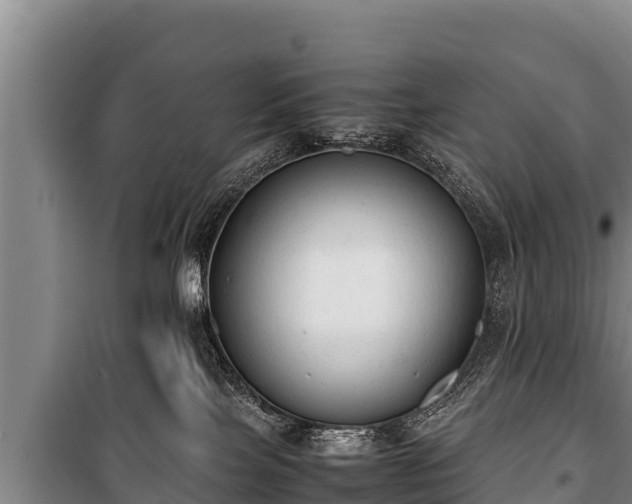 X0000100850089200806271146