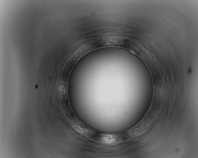 X0000100850091200806271146