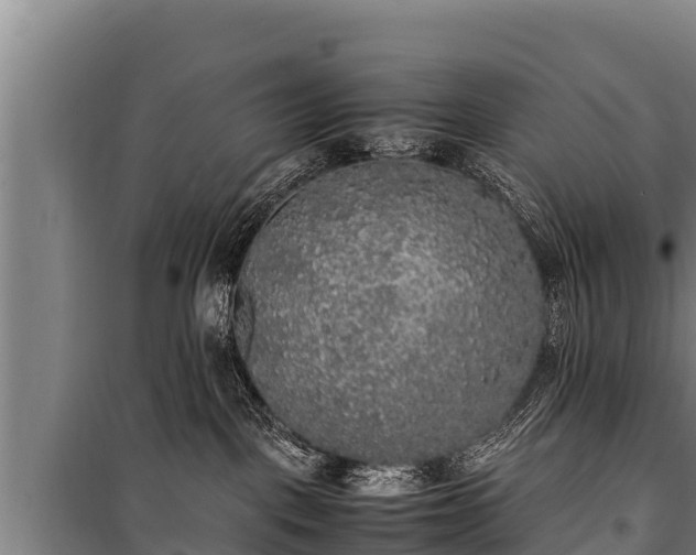 X0000100850093200806271146