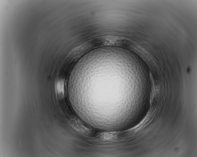 X0000100850094200806271146