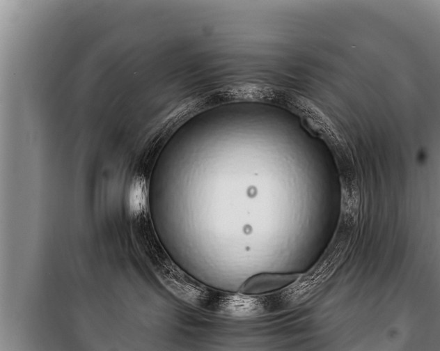 X0000100850095200806271146