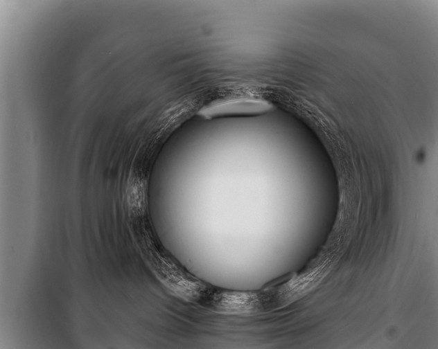 X0000100850096200806271146