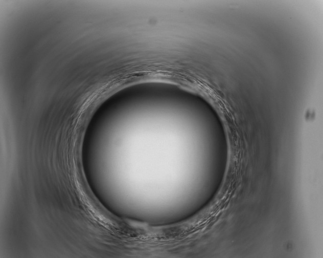 X0000100850097200806271145