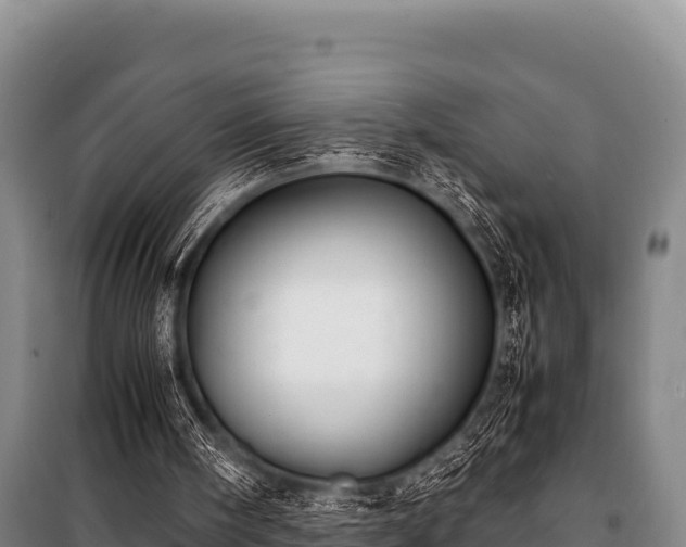 X0000100850098200806271145