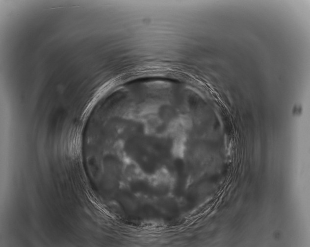 X0000100850099200806271145