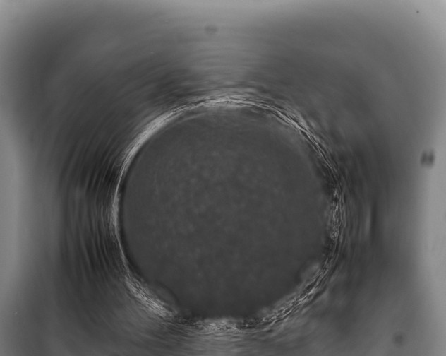 X0000100850100200806271145