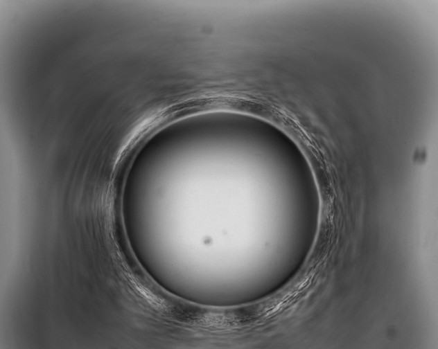 X0000100850101200806271145