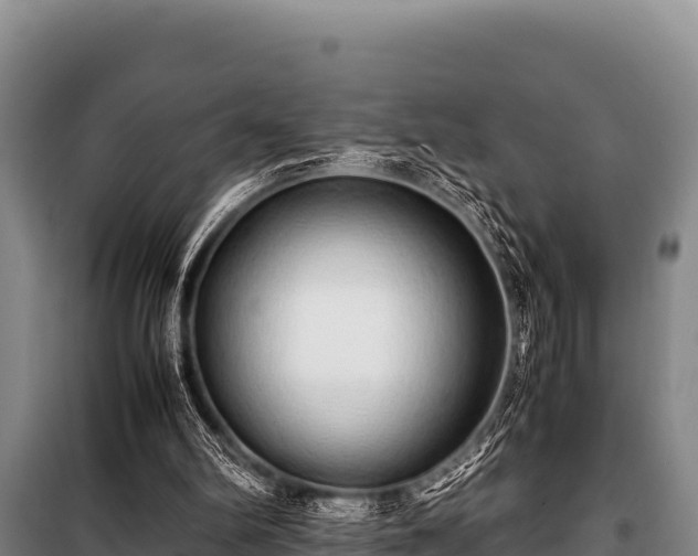 X0000100850102200806271145