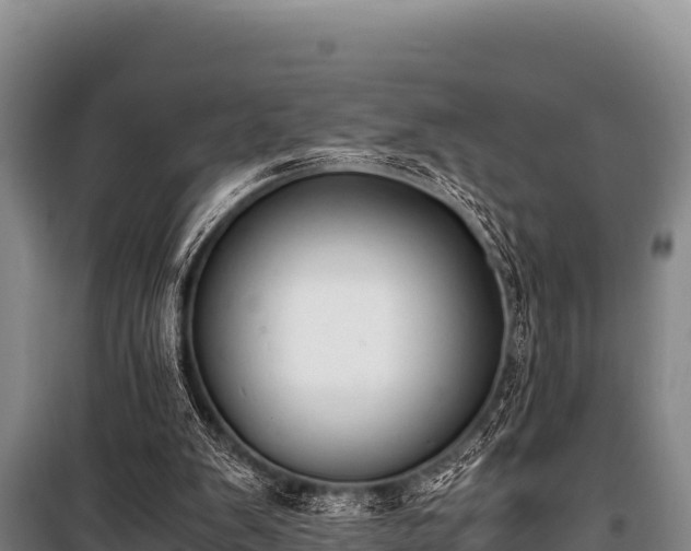 X0000100850103200806271145