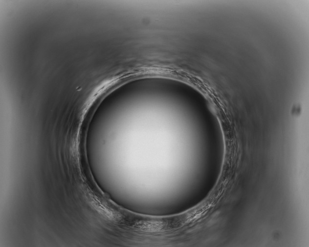 X0000100850104200806271145