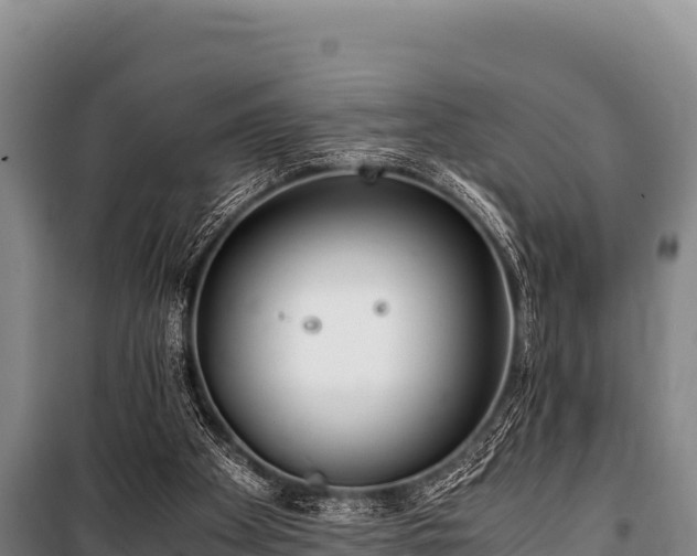 X0000100850105200806271145