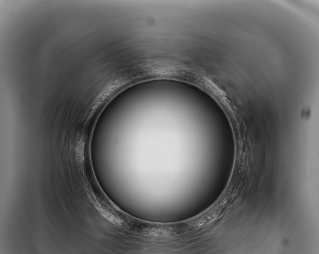 X0000100850106200806271145