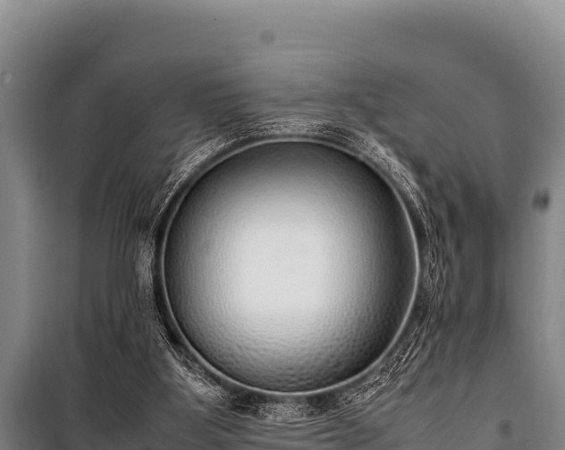 X0000100850107200806271145