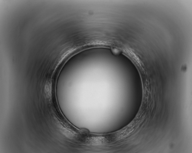 X0000100850108200806271145