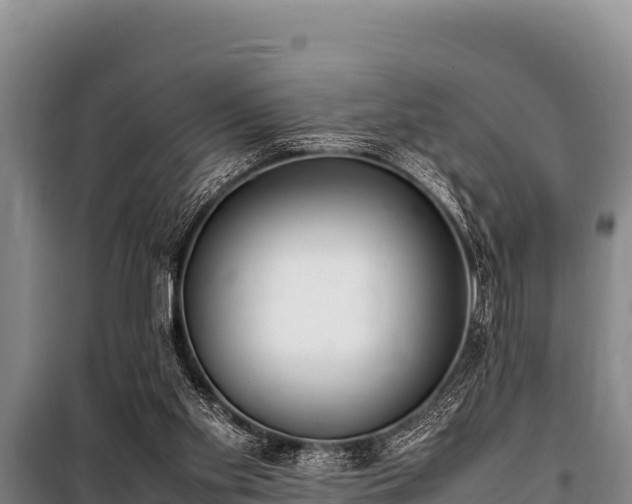 X0000100850109200806271145