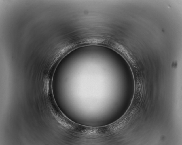 X0000100850110200806271145