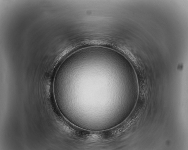 X0000100850111200806271145