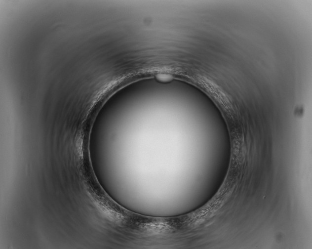 X0000100850112200806271145