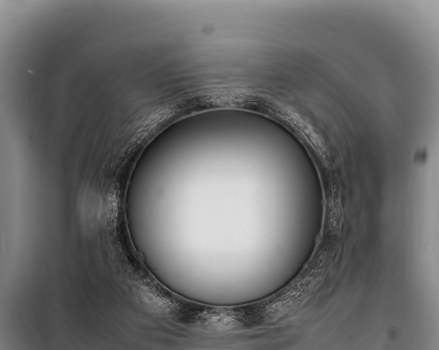 X0000100850113200806271145