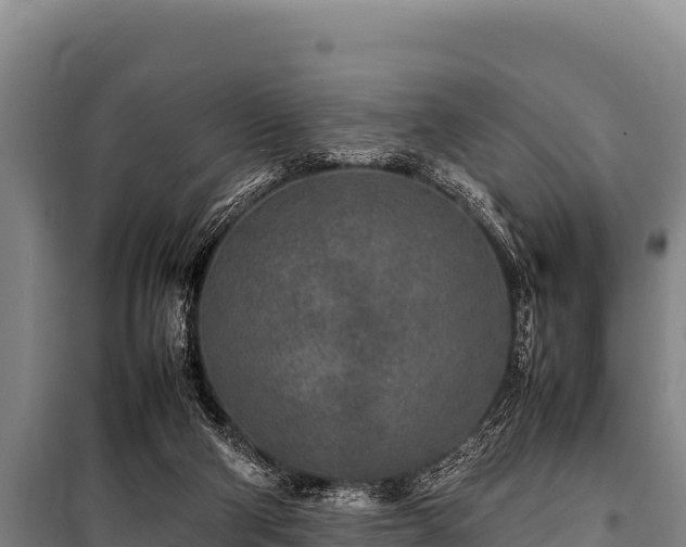 X0000100850114200806271145