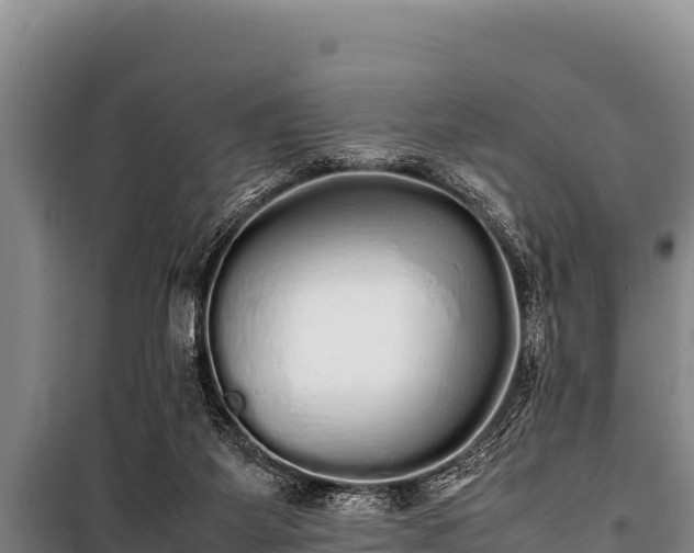 X0000100850115200806271145