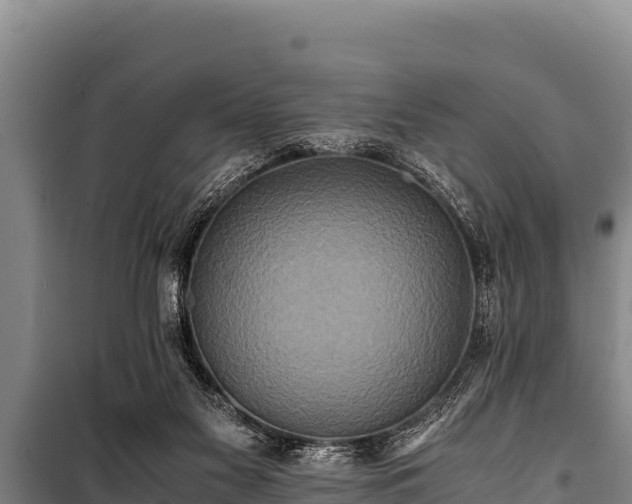 X0000100850117200806271145