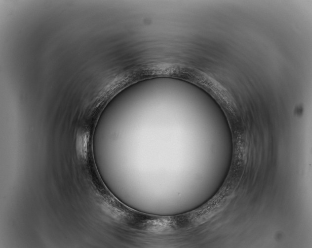 X0000100850118200806271145