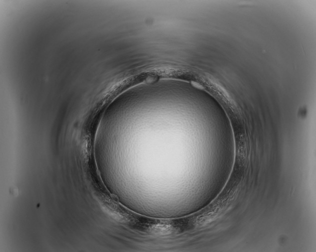 X0000100850119200806271145