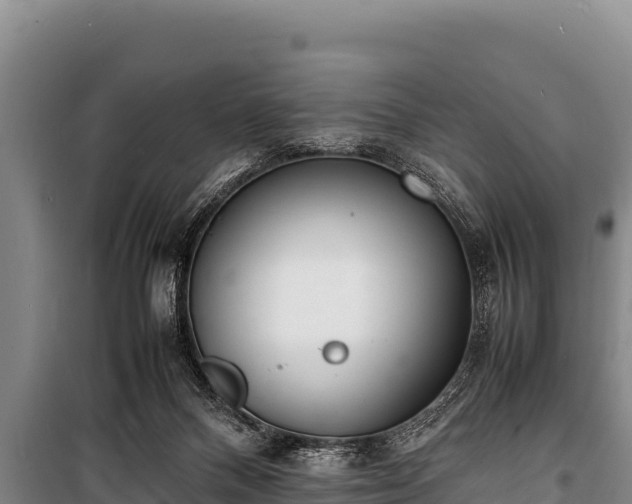 X0000100850120200806271145