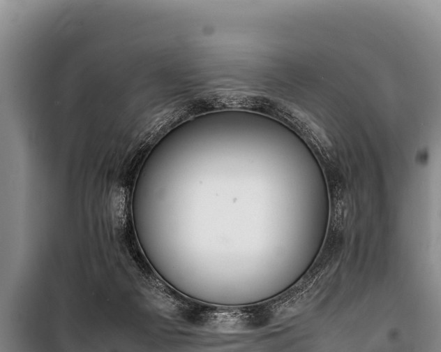 X0000100850121200806271145