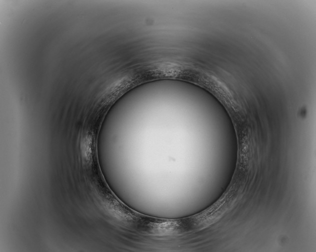 X0000100850122200806271145