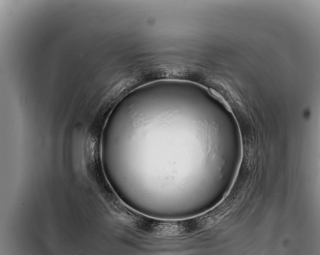 X0000100850123200806271145