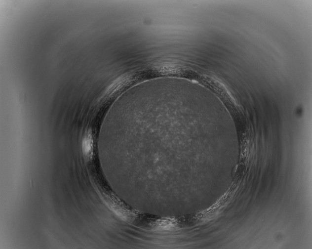 X0000100850124200806271145