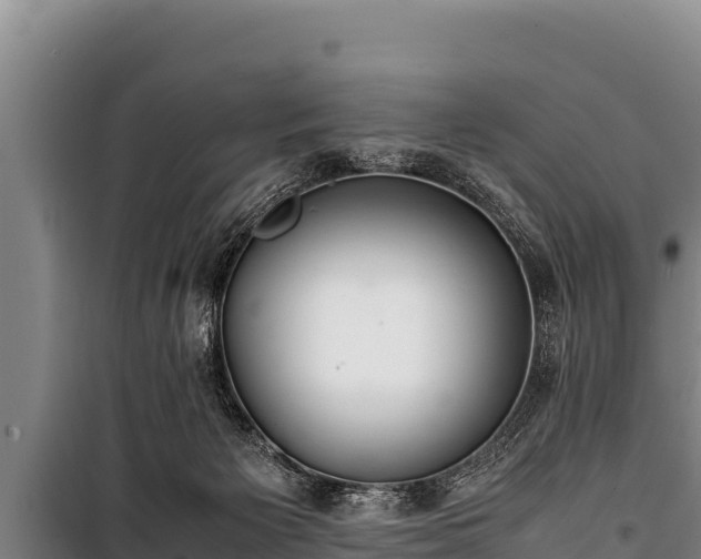 X0000100850125200806271145