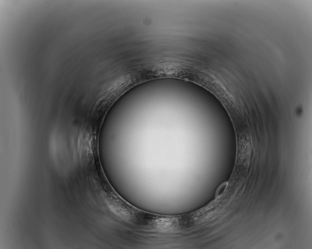 X0000100850126200806271145