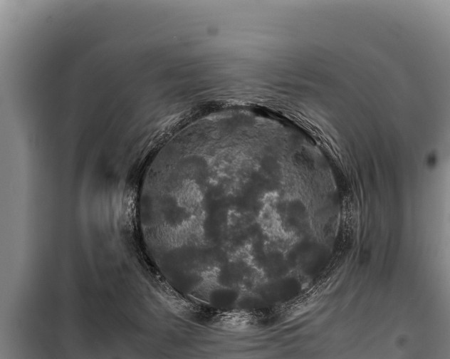 X0000100850127200806271145