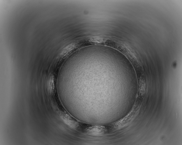 X0000100850128200806271145