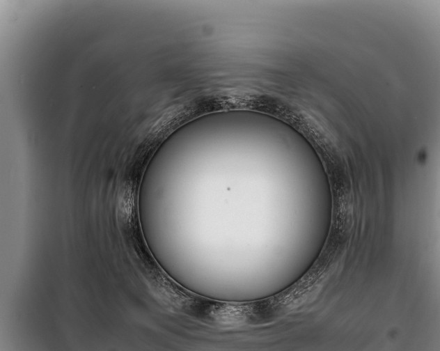 X0000100850129200806271145