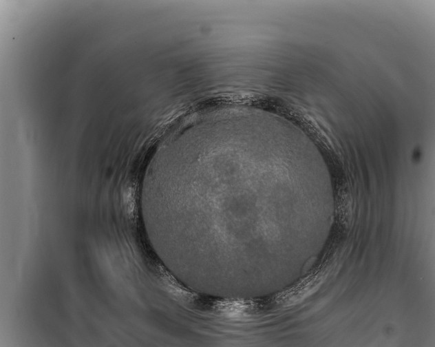 X0000100850131200806271145