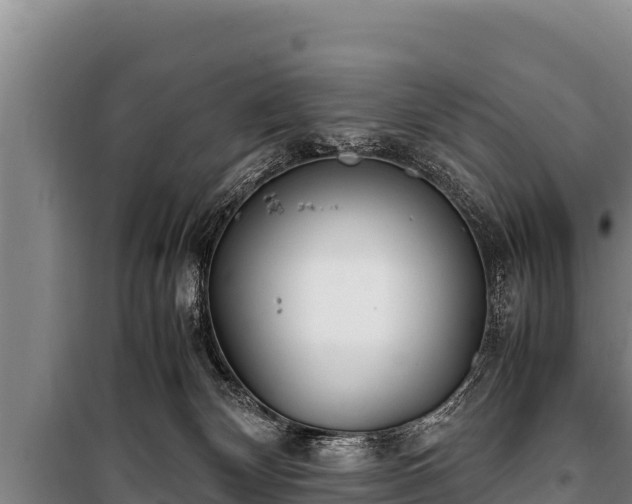 X0000100850132200806271145