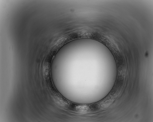 X0000100850133200806271145