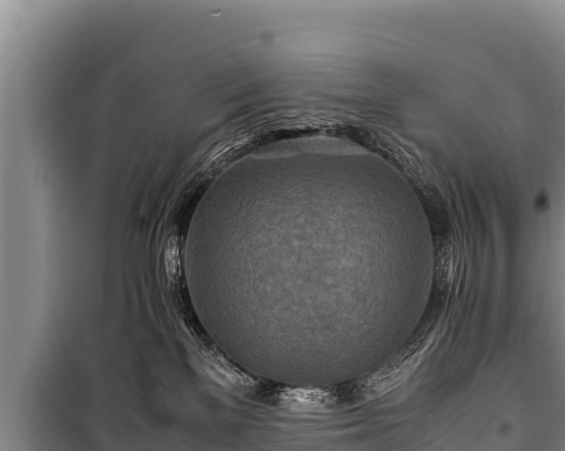 X0000100850137200806271145