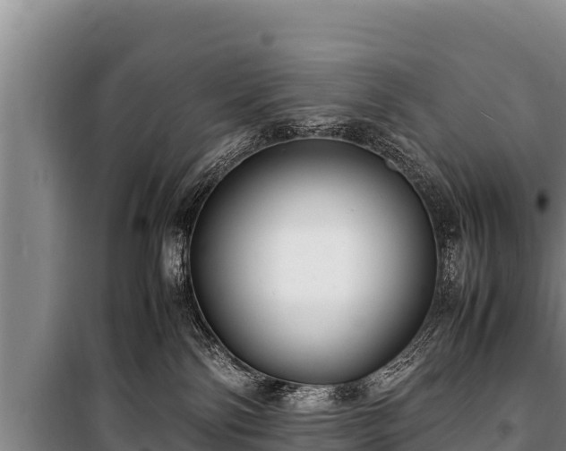 X0000100850138200806271145